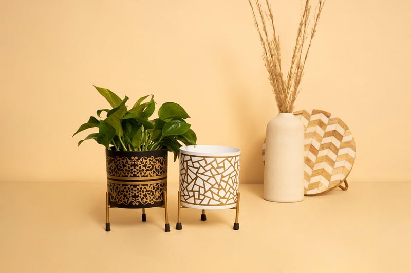 Repurposed planter ideas